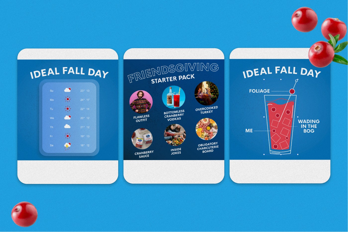 Digital Design for Ocean Spray, image 8 of 12